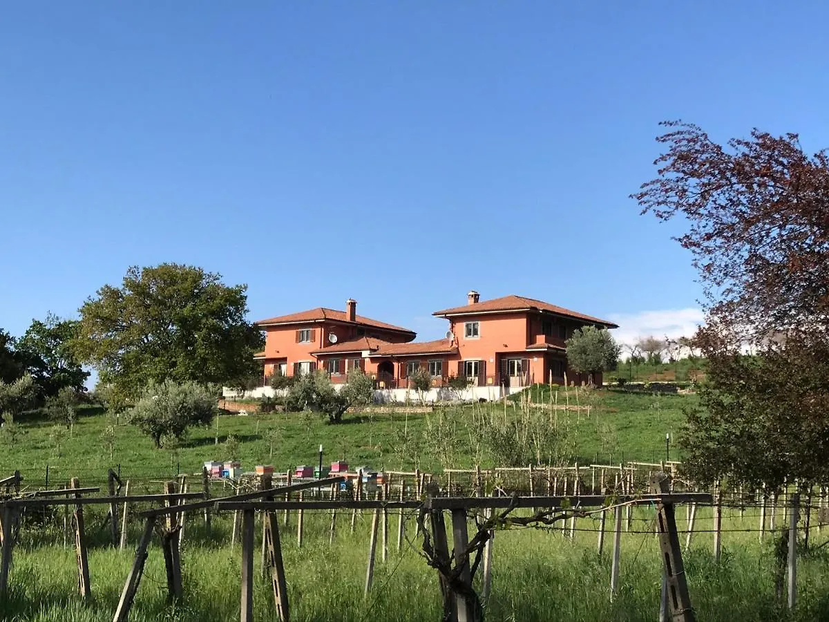 Bed & Breakfast B&B Bee Frascati