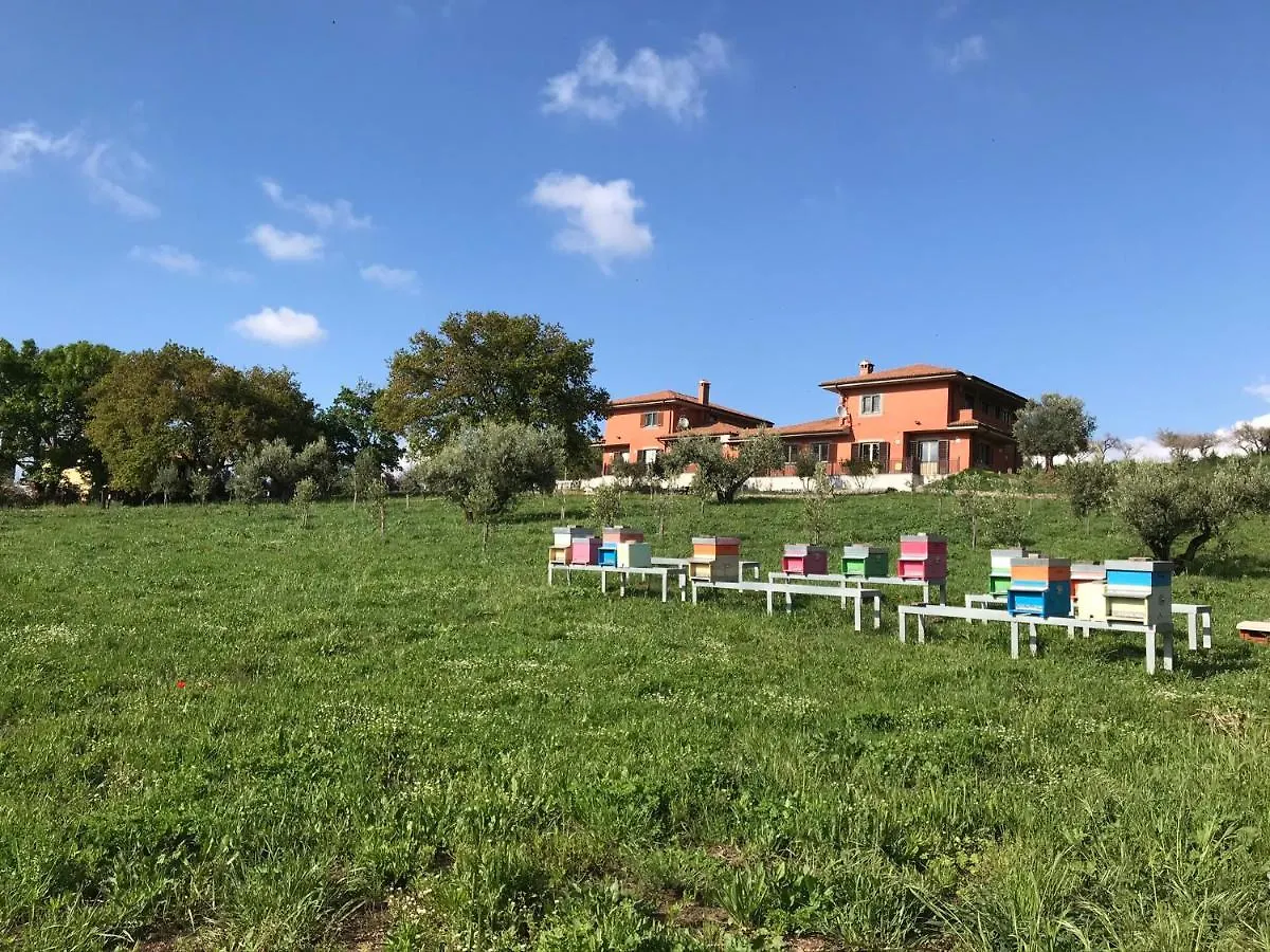B&B Bee Frascati Bed & Breakfast