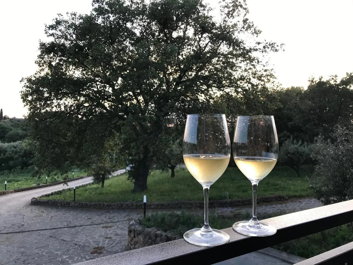 B&B Bee Frascati Bed & Breakfast